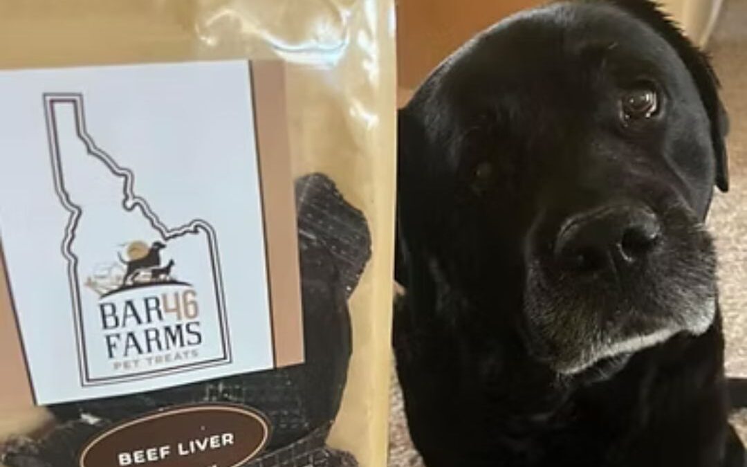 loved her liver jerky