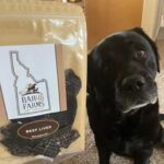 Dog waiting patiently for a Bar46 Farms all-natural beef treat